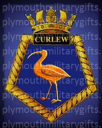 HMS Curlew Magnet